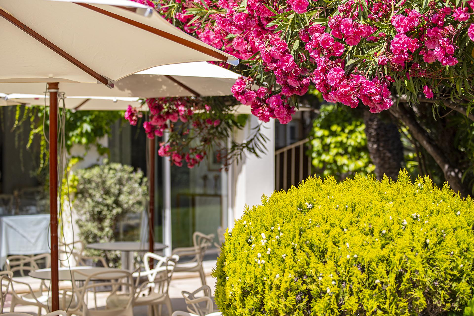 La terrasse dans le jardin de l'hotel