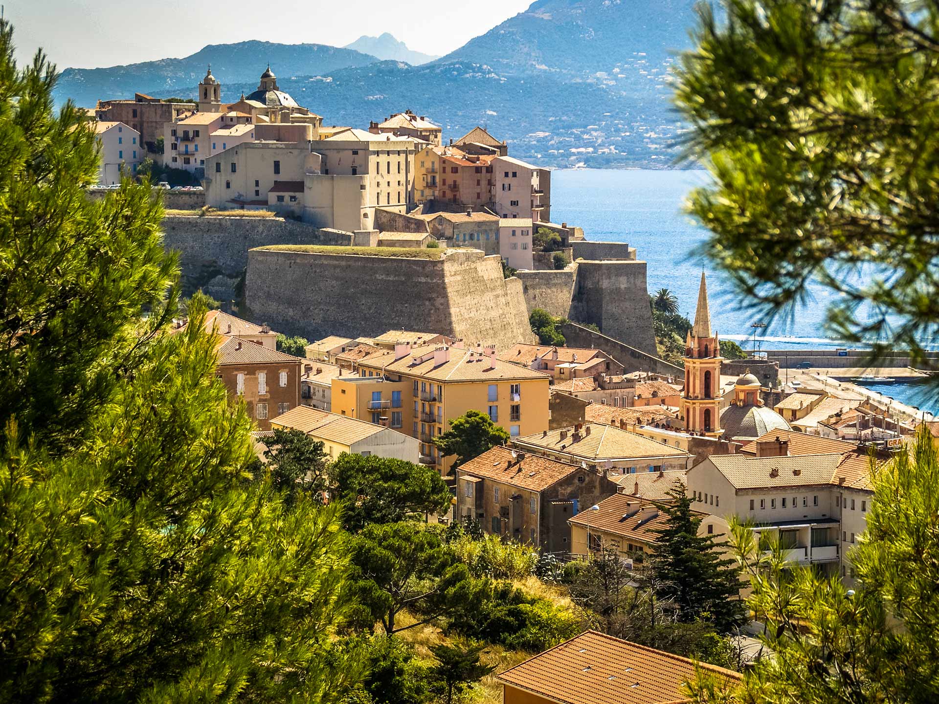 Baie de Calvi jardin de l'hotel