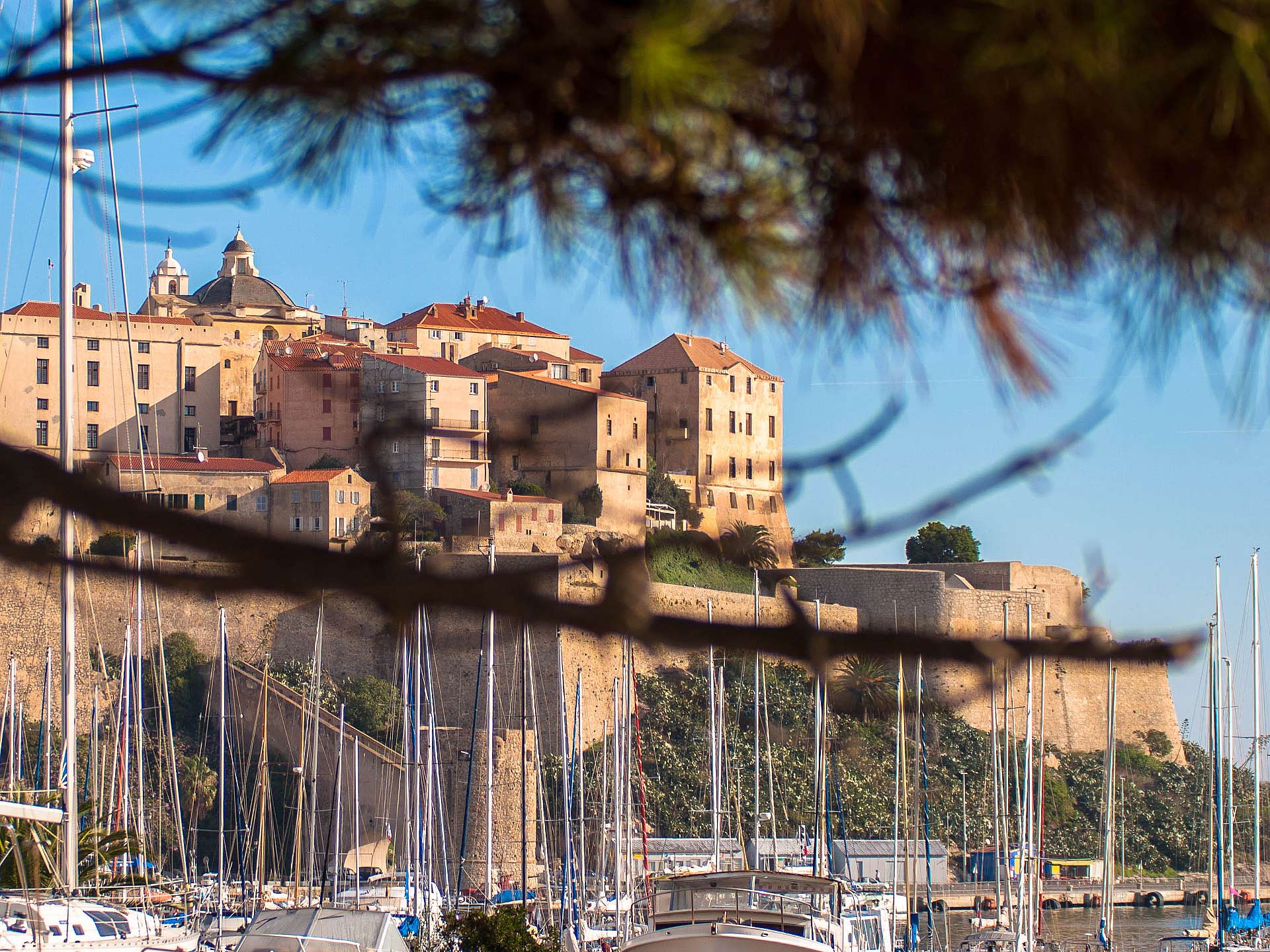 La citadelle de Calvi vue du marco plage
