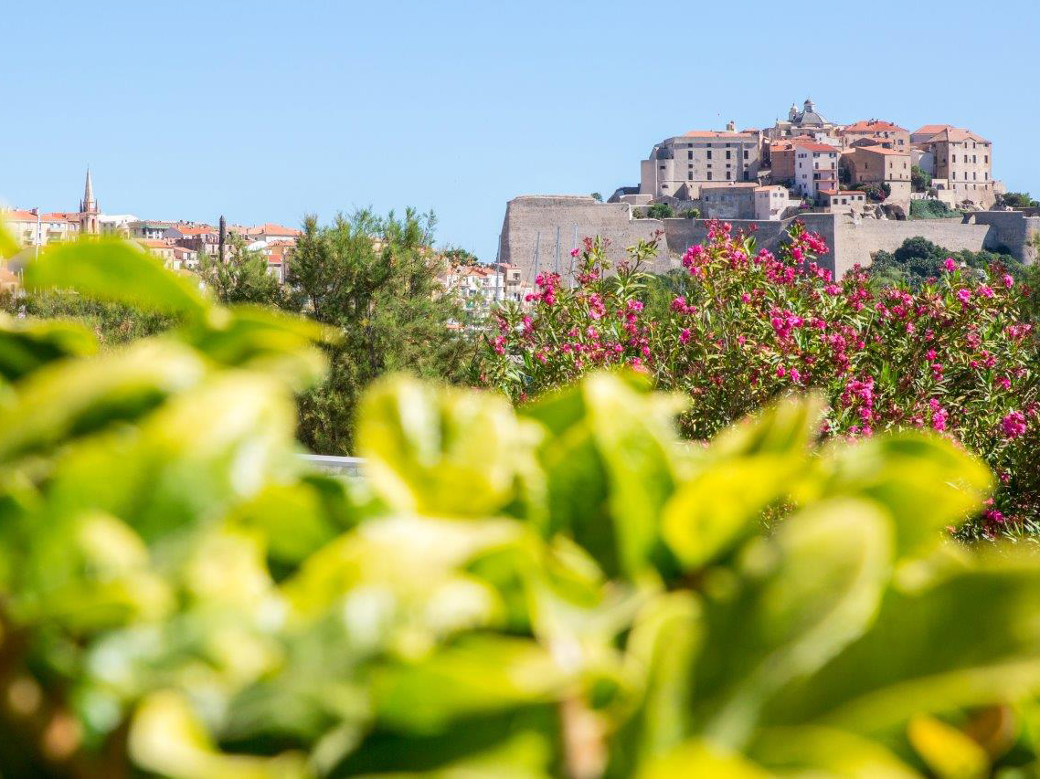 Vue mer, citadelle de Calvi et jardin