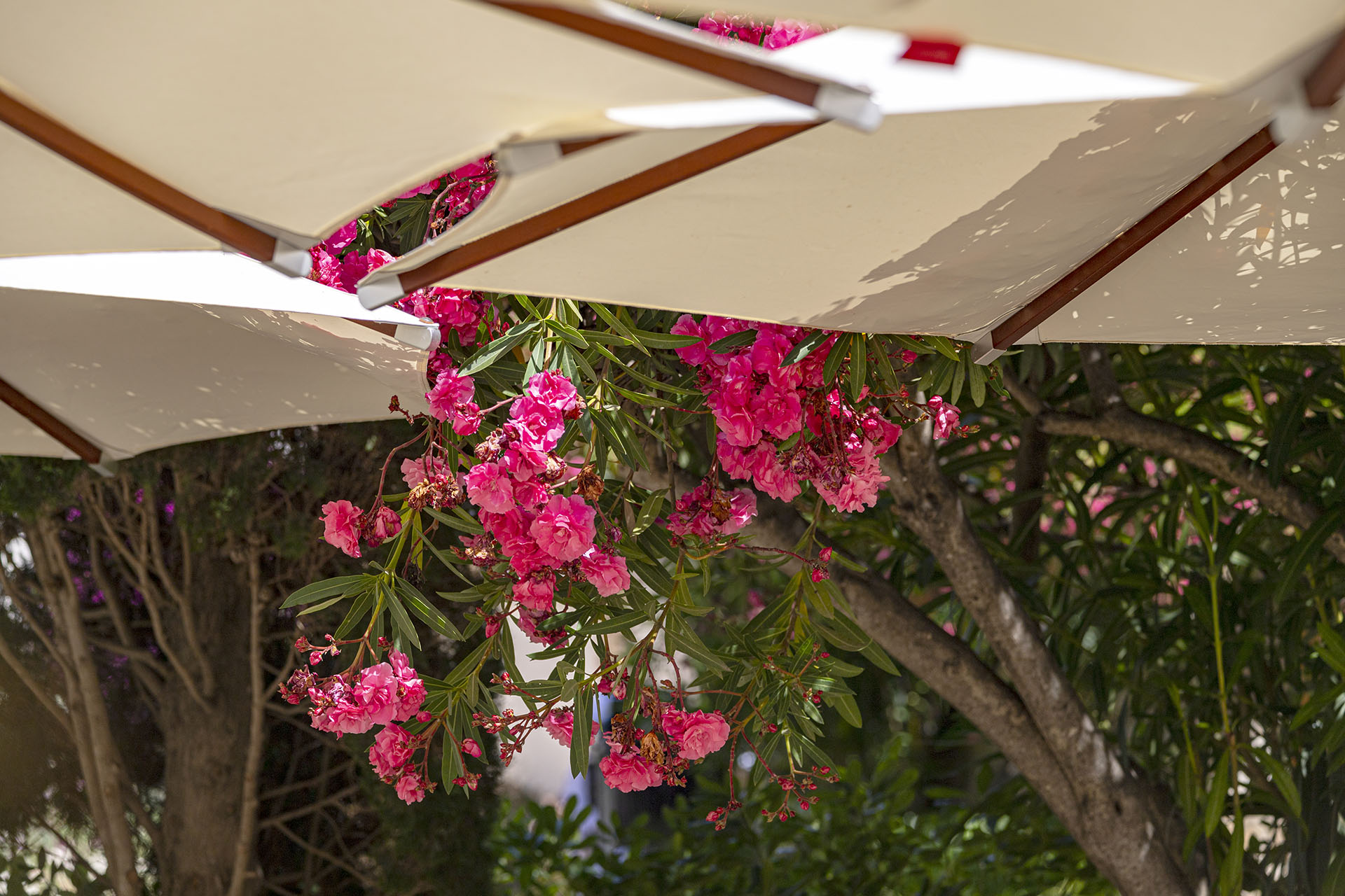 L'exterieur des chambres