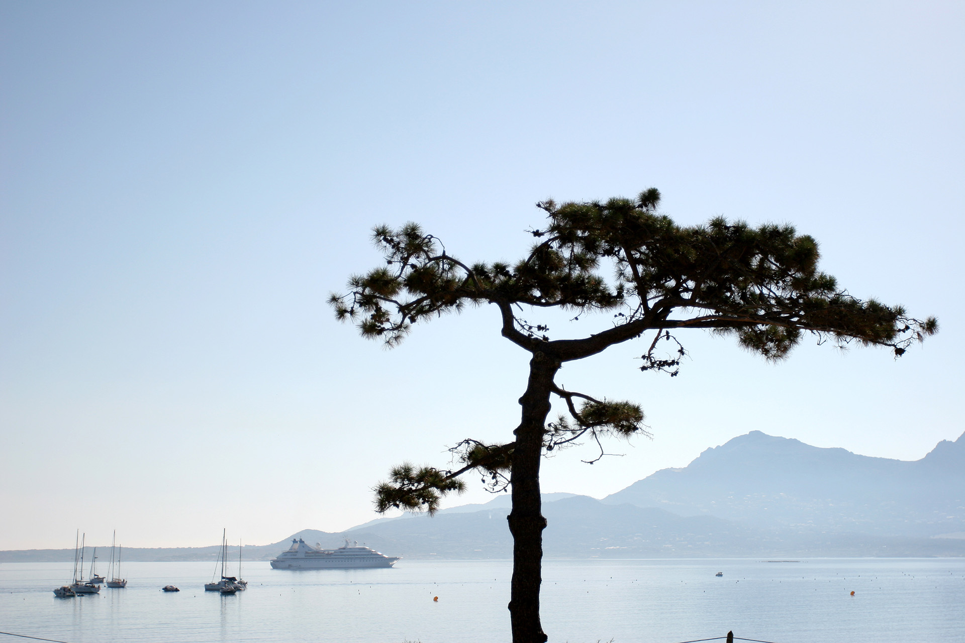 Le jardin de l'hotel vue 2